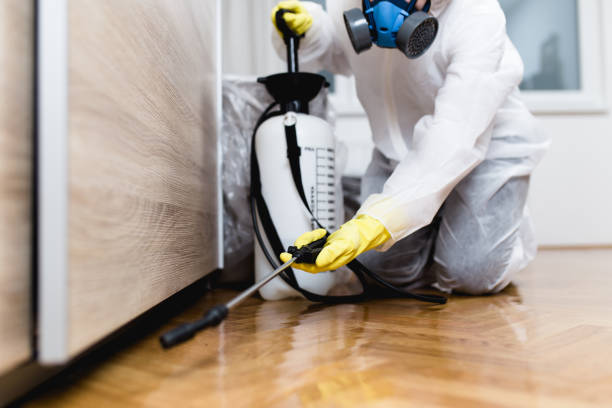 Best Rat Extermination Near Me  in Spanish Fork, UT