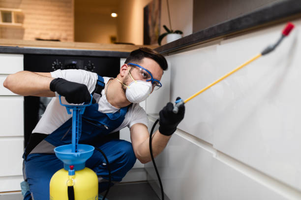 Best Commercial Pest Control Services  in Spanish Fork, UT