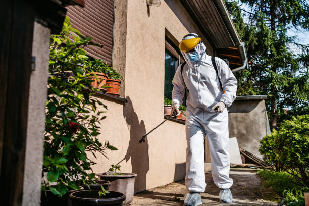 Best Mosquito Control Services  in Spanish Fork, UT