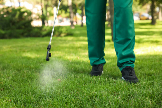 Best Best Pest Control Companies  in Spanish Fork, UT