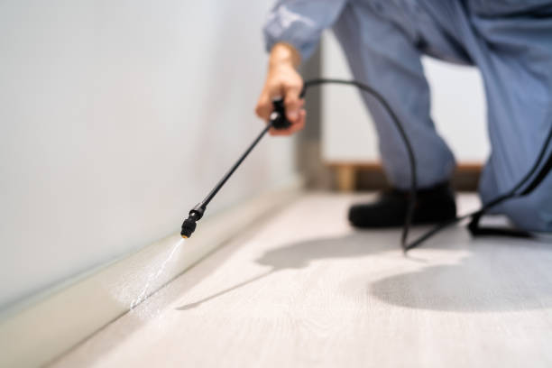 Best Local Pest Control Services  in Spanish Fork, UT