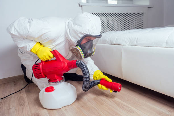 Best Affordable Pest Control Services  in Spanish Fork, UT