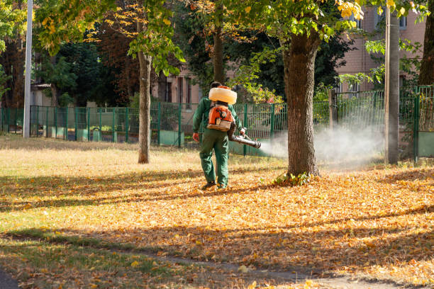 Best Wasp Removal Services  in Spanish Fork, UT
