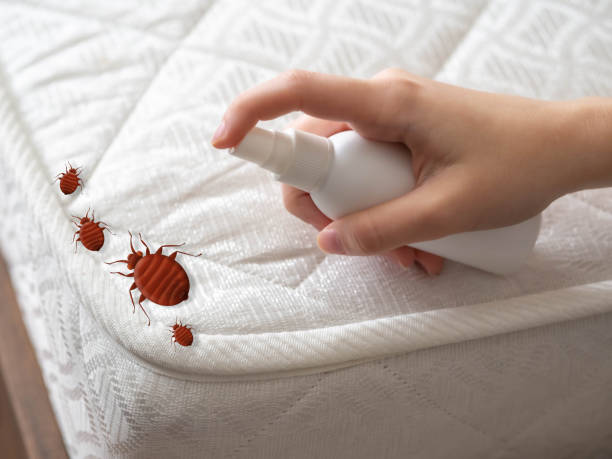Best Pest Inspection Near Me  in Spanish Fork, UT
